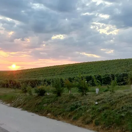 La Bulle Enchantee Apartment