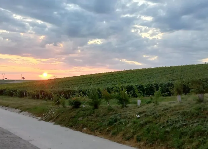 La Bulle Enchantee Appartement